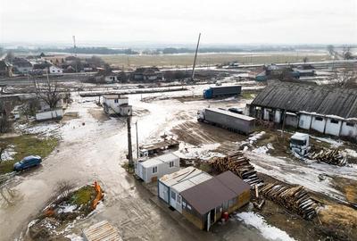 RECO . Proprietate industriala Tileagd . - 12