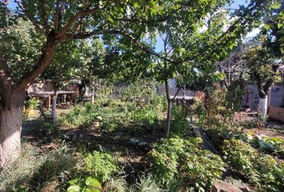 Casa rustica cu traditie -  P+M  - constructie BCA -teren 506mp -159.000 Euro - 8