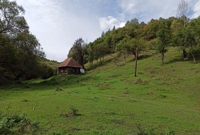 Teren de 3000 mp, în Ponor - 2