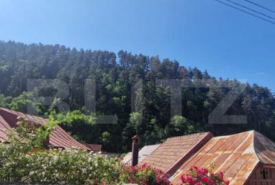 Casa renovata complet Schei, mobilata luminoasa curte indivi - 12