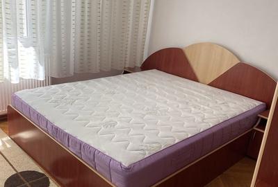 Apartament cu 2 camere decomandat în Livezeni - 5