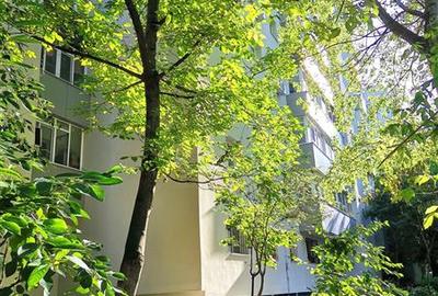 Apartament cu 2 camere semidecomandat, mobilat în Tineretului - 14