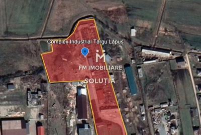 Complex industrial  cu teren 18,672 mp Târgu Lăpuș - 2
