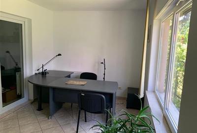 Vila  de vanzare 6 camere Iancu Nicolae cu Gradina - 7