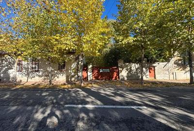 Proprietar vand casa + teren 2500 mp in zona centrala SANNICOLAU MARE - 9