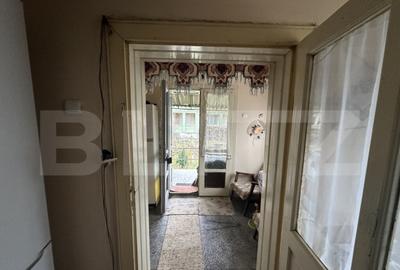 Teren 3000 mp + 2 case de vanzare-Ca?eiu - 21