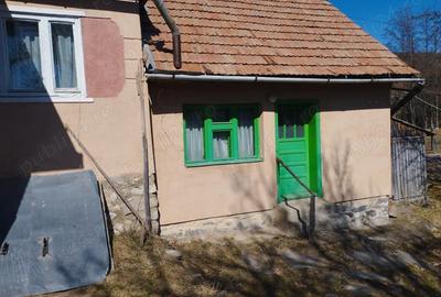 Casă cu Teren 2414 Mp în Voșlăbeni - 5