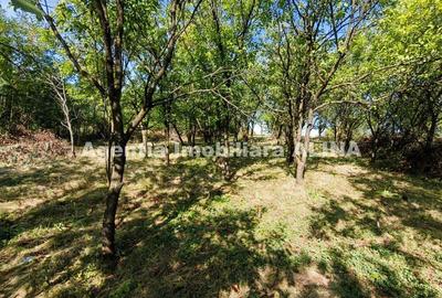 Casă cu 2 camere în Criș - 9