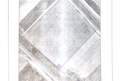 Teren intravilan, 10763 mp, stradal DE79 - Bradesti - 1