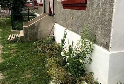 Casă cu 4 camere cu Teren 100 Mp în Pietroșani - 6