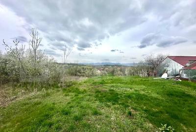 Teren de 728 mp, în Oarda - 3