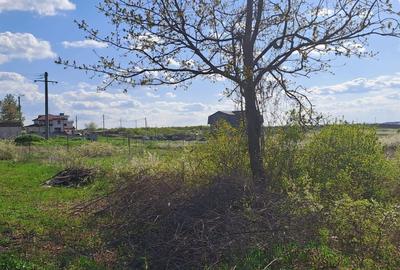 Mogosoaia, teren 792 mp, vedere la lac, utilitati, statie STB la 750m - 3