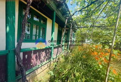 Casu?a cu istorie ideala pentru iubitorii de autentic - 15