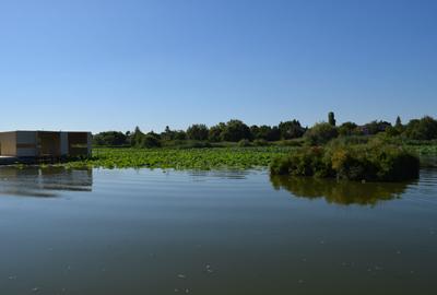Conac lac Snagov cu ponton - 39