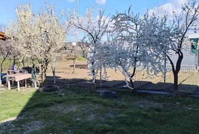 Casă cu 4 camere în Valea Stânii - 4