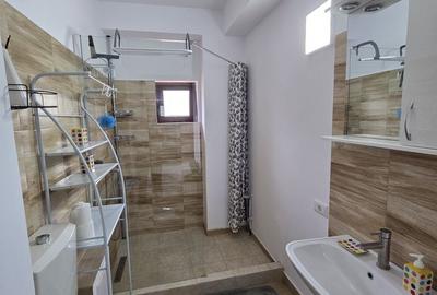 Apartament cu 2 camere în Mogoșoaia - 14