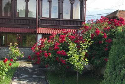 Casă cu 6 camere în Pietroșița - 3