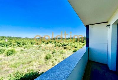 PADUREA BANEASA/2 BAI/SPATII GENEROASE/LUMINOS - 12