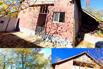 Casă cu 5 camere cu Teren 700 Mp în Turnu - 5