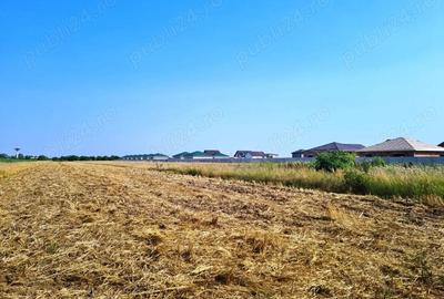 Teren de 20000 mp, în Vârteju