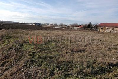 Teren intravilan de 16600 mp, în Bucovăț (Remetea Mare) - 1