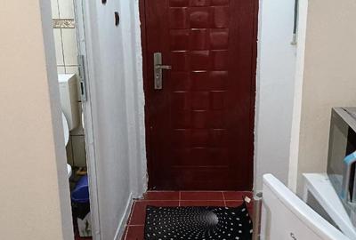 Garsonieră semidecomandată în Valea Rosie - 3