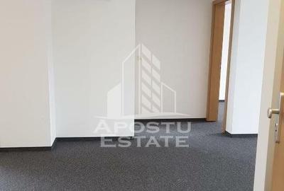 Spatiu comercial 62 mp + terasa 133 mp, Aradului - 4