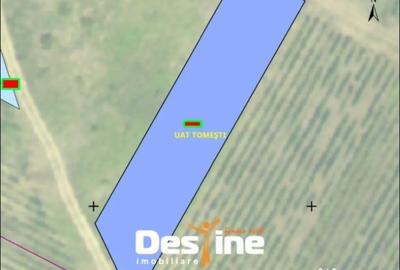 Teren de 1250 mp, în Tomești - 1