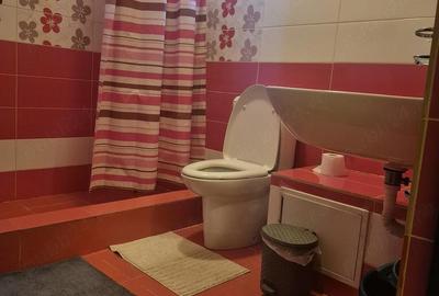 Garsonieră decomandată în Ciorogârla - 9