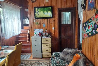 Casa de vacanta la 8 minute de sta?iunea Govora - 16