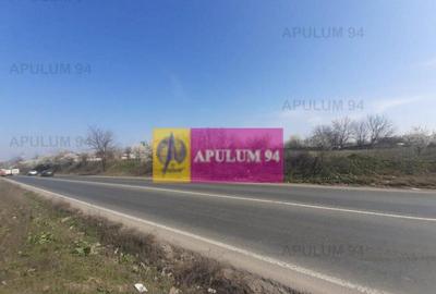 Teren de 4800 mp, în Glina - 2