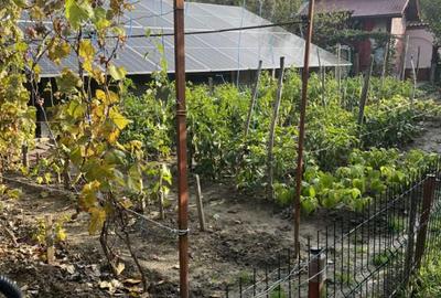 Casa Vladesti ?arina - 15