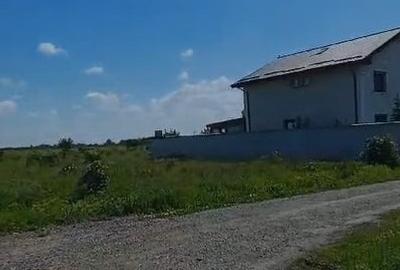Teren Construcții intravilan de 10000 mp, în Domnești
