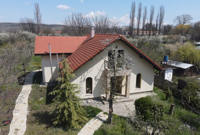 Casă individuală cu 5 camere cu Teren 2000 Mp în Golești (Ștefănești) - 2