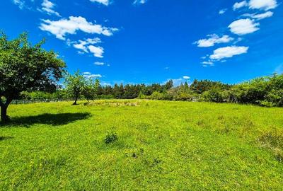 Teren intravilan Cotmeana Arges - 6