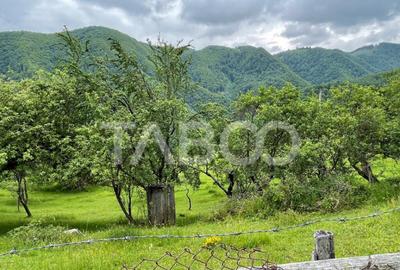 Teren intravilan de vanzare in Martinia de sus - 5