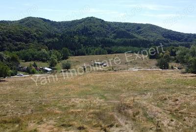 Teren de vanzare in Curtea de Arge?, str Groape. Teren de vanzare in Curtea de Arge?, str Groape. - 2