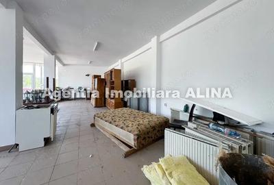 Spatiu comercial spre iesire din Loc. Deva (spre Mintia) zona Izvorul Decebal, Jud. Hunedoara. - 13