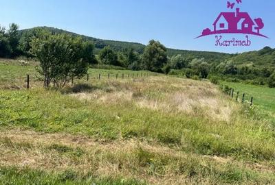 Teren de 1100 mp, în Hidiș - 2