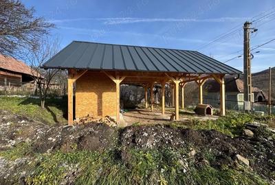Casă cu Teren 2700 Mp în Livada (Petreștii de Jos) - 1