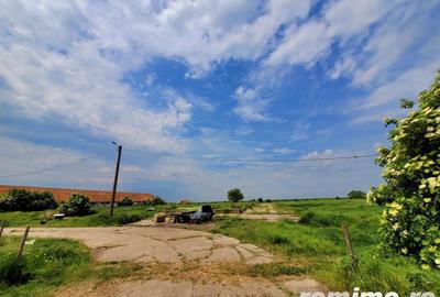 Teren de 95000 mp, în Satchinez - 8