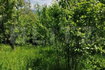 Teren de 4125 mp, în Fieni - 1