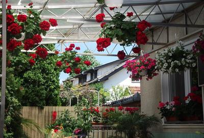 Casă cu 8 camere în Împăratul Traian - 2