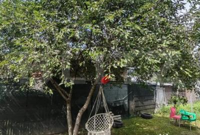 Casă cu 4 camere cu Teren 1600 Mp în Central - 7