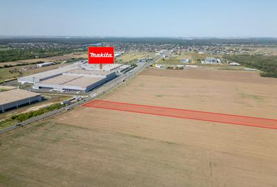 Teren Vanzare Intravilan Branesti investitie Zona Industrial - 3