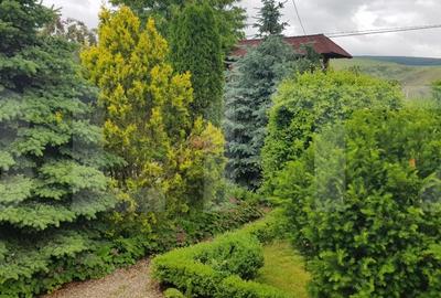 Proprietate HORECA cu sala de evenimente moderna, intr-o oaza de liniste Proprietate HORECA cu sala de evenimente moderna, intr-o oaza de liniste - 4