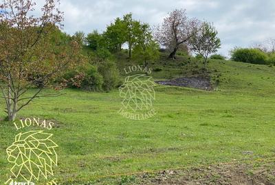 Teren de 5000 mp, în Feldru - 2