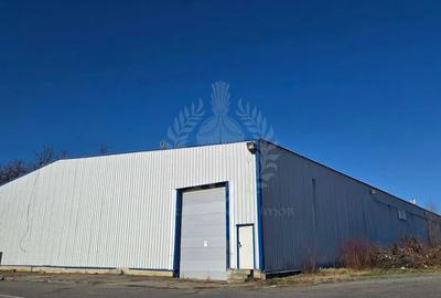 HALA 2300 MP//PARCUL INDUSTRIAL//ZONA YAZAKI - 2