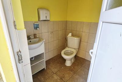 Casă + Afacere + Relaxare = Investiția Perfectă, in Cioranii de Jos - 35