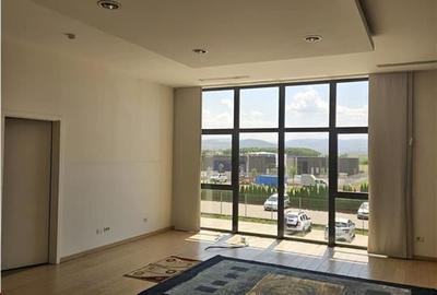 Proprietate Industriala - 16000 mp - Productie - Depozitare - Office - 14